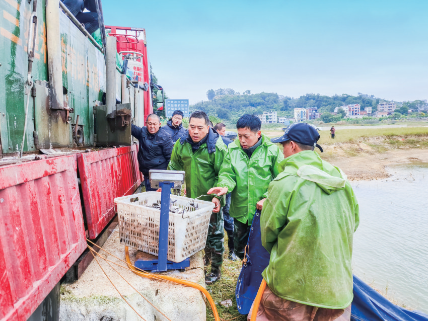 我市开展东张水库增殖放流活动