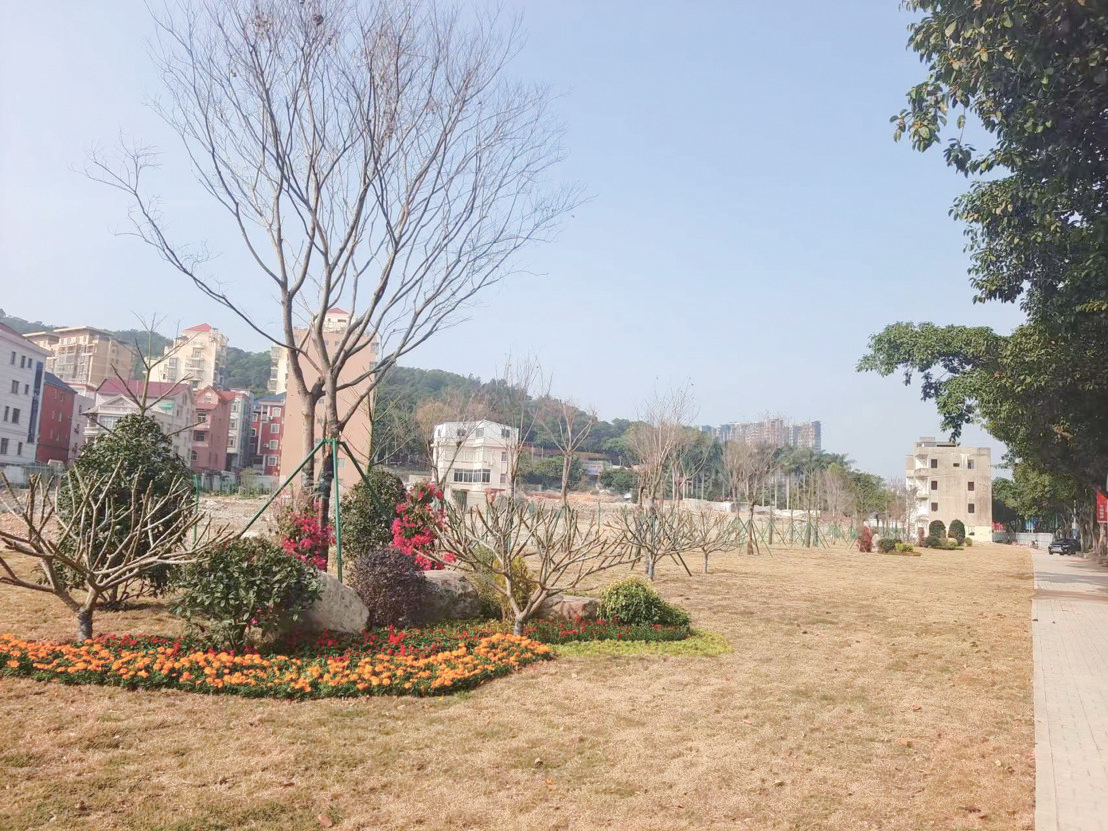 城区重点项目区域绿化提升工程完工