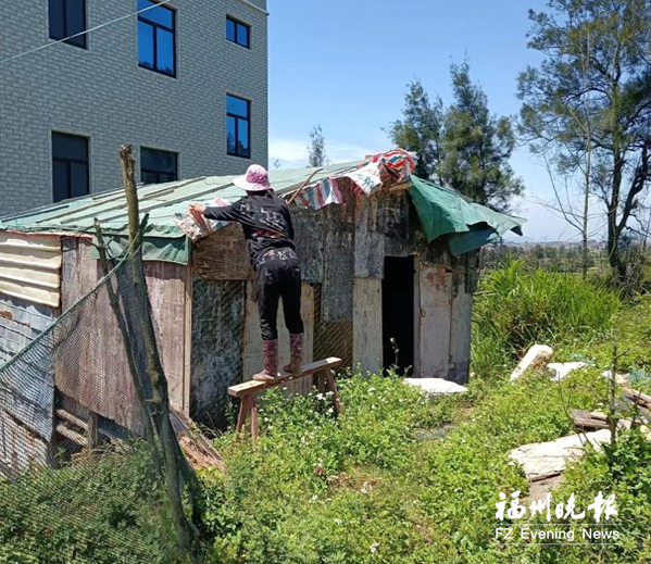 福清港头镇拆除十余处违建