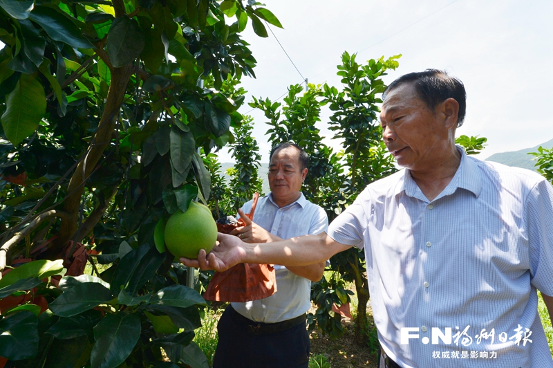 福清东张水库移民依托政策扶持安居乐业