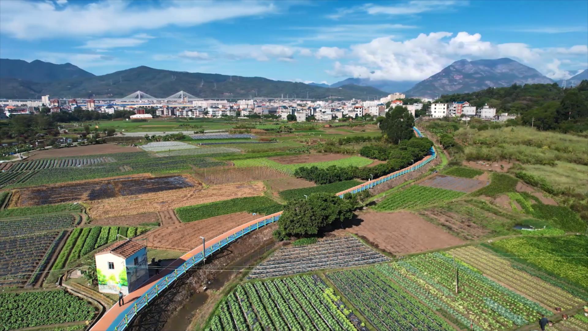 宏路街道建成特色田园步道