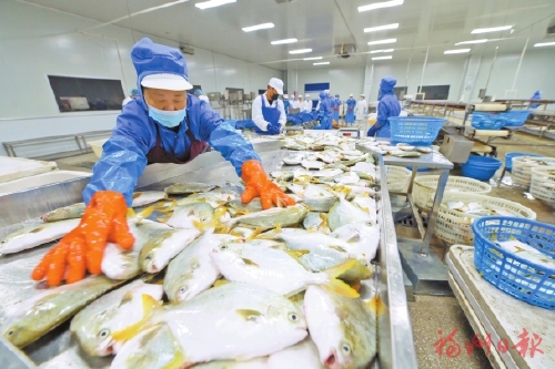 向新向外向更优　福清经济社会发展成绩亮眼，全国排名稳步提升