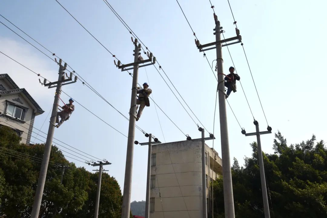 图片 1.png