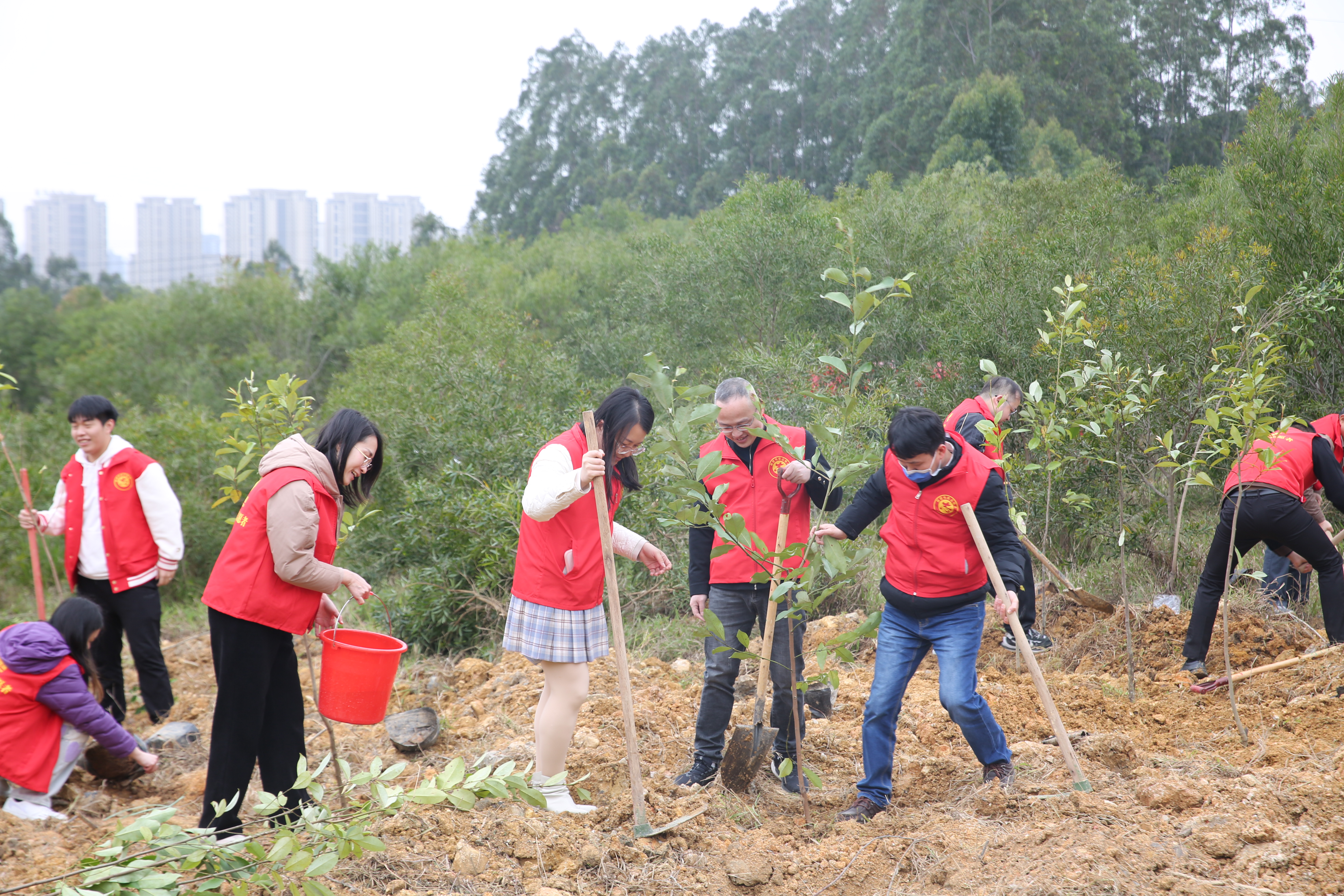 我市在“互联网+全民义务植树基地”开展义务植树活动
